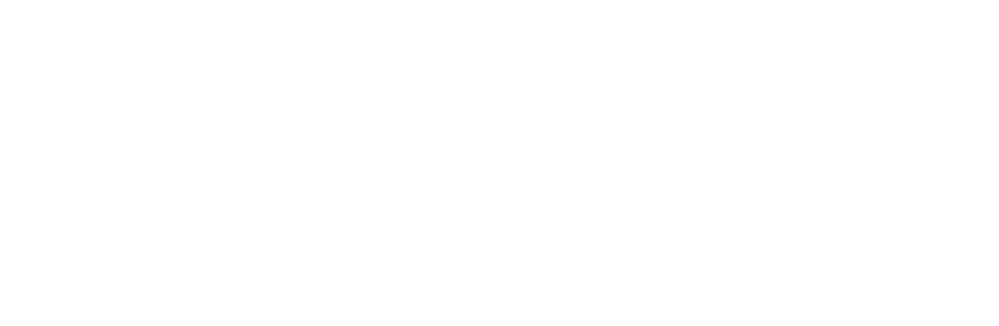 ORKAM Consulting